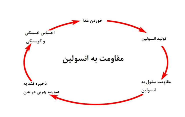 تخمدان پلی کیستیک و مقاومت انسولین