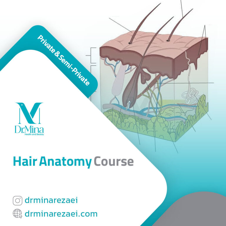 Hair anatomy course